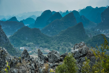 动物励志小故事