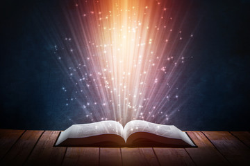 幼儿园家长开放日活动方案及流程