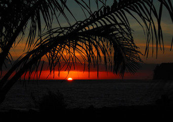 看看我们的地球好词好句摘抄