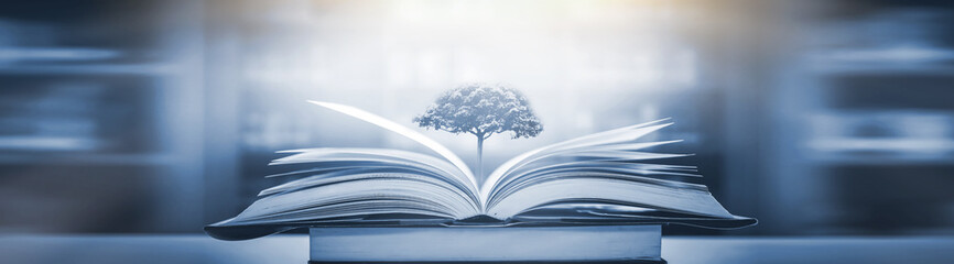 幼儿园家长开放日活动方案及流程