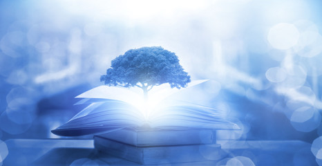 关于美术教学理论的书籍或杂志