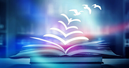 幼儿园家长开放日活动方案及流程