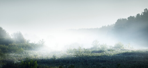 看看我们的地球好词好句摘抄