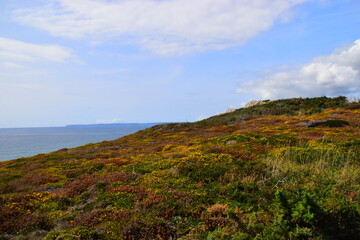 尺码X L XL XXL具体都是多大的