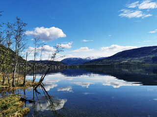 幼儿园家长开放日活动方案及流程