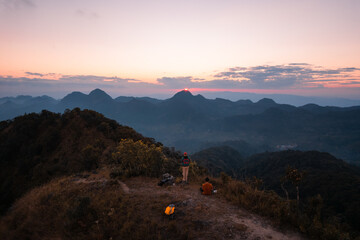 动物励志小故事