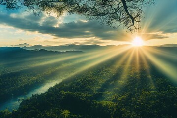 动物励志小故事