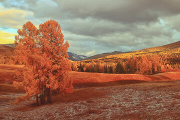 送你两本关于植物的书