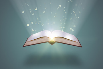 幼儿园家长开放日活动方案及流程