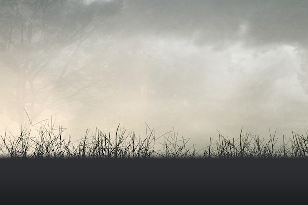 看看我们的地球好词好句摘抄