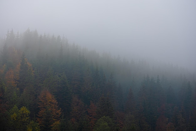 学点养生小知识