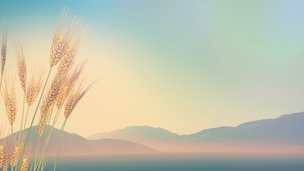 幼儿园家长开放日活动方案及流程