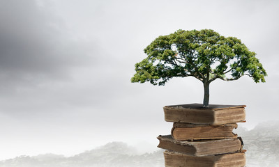 关于专注成功的事例