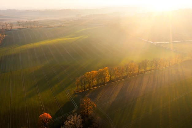动物励志小故事