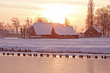学点养生小知识